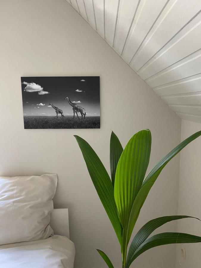 B&B Maison Blanche Gent Kültér fotó
